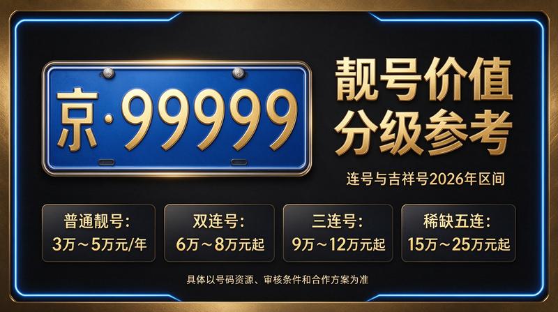 2026年新能源车牌政策